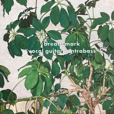 BREATH MARK / VOCAL GUITAR CONTRABASSのアナログレコードジャケット (準備中)