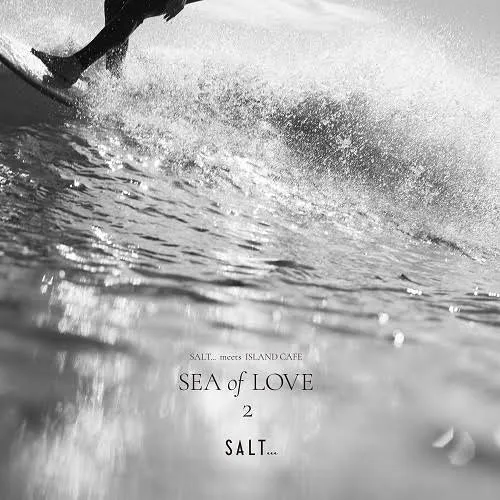 VARIOUS (TOKIMEKI RECORDS、HANAH SPRING) / SALT... MEET ISLAND CAFE -SEA OF LOVE 2のアナログレコードジャケット (準備中)