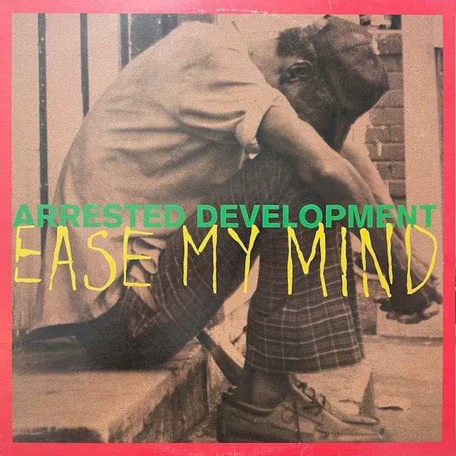 ARRESTED DEVELOPMENT / EASE MY MINDのアナログレコードジャケット (準備中)
