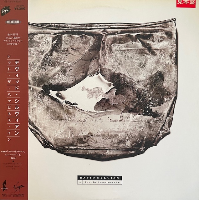 DAVID SYLVIAN / LET THE HAPPINESS IN (JPN PROMO)のアナログレコードジャケット (準備中)