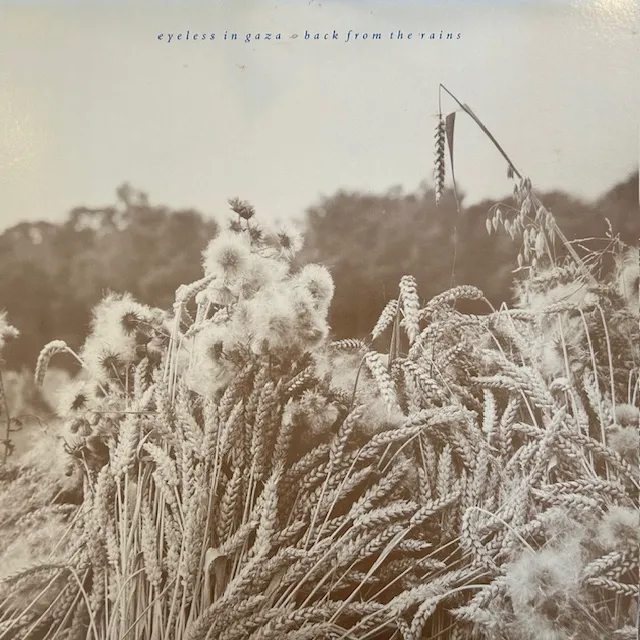 EYELESS IN GAZA / BACK FROM THE RAINSのアナログレコードジャケット (準備中)