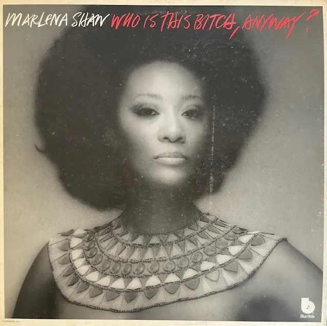 MARLENA SHAW / WHO IS THIS BITCH ANYWAY ?のアナログレコードジャケット (準備中)